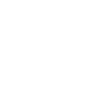 logo sbl white